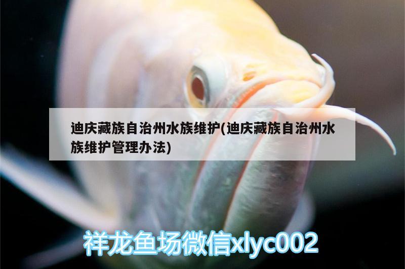 迪庆藏族自治州水族维护(迪庆藏族自治州水族维护管理办法)