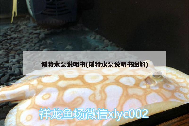 博特水泵说明书(博特水泵说明书图解)