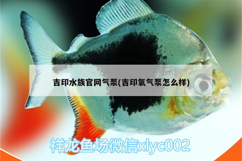 吉印水族官网气泵(吉印氧气泵怎么样)