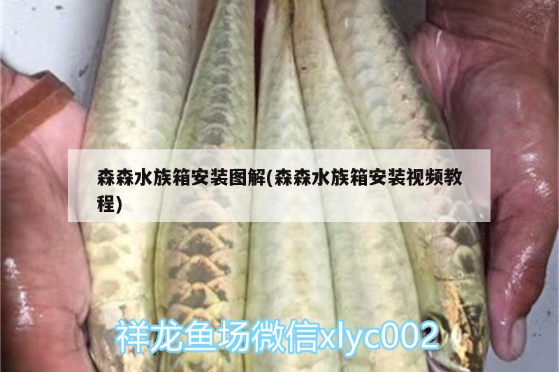 森森水族箱安装图解(森森水族箱安装视频教程) 鱼缸/水族箱