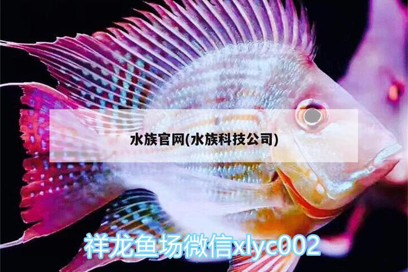 水族官网(水族科技公司)