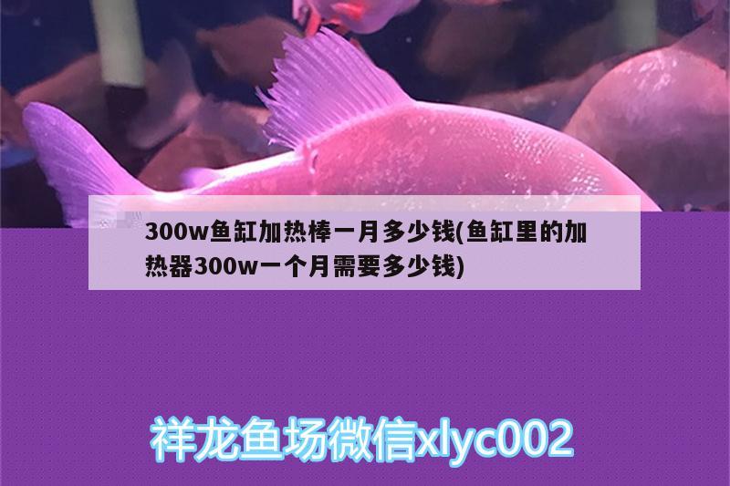 300w鱼缸加热棒一月多少钱(鱼缸里的加热器300w一个月需要多少钱)