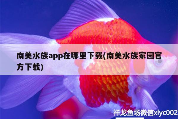 南美水族app在哪里下载(南美水族家园官方下载) 水族维护服务（上门） 第1张