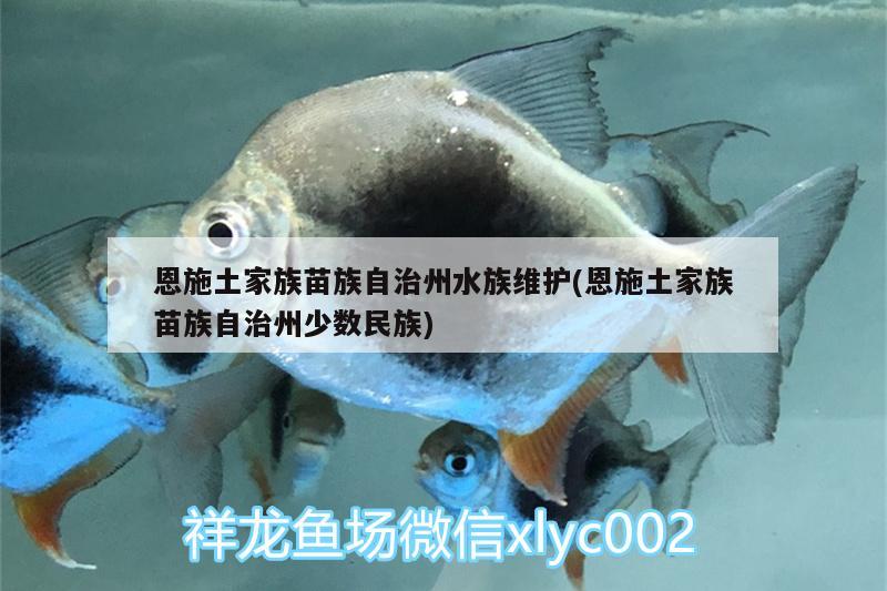 恩施土家族苗族自治州水族维护(恩施土家族苗族自治州少数民族)