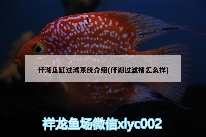 仟湖鱼缸过滤系统介绍(仟湖过滤桶怎么样) 仟湖