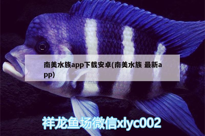 南美水族app下载安卓(南美水族最新app)