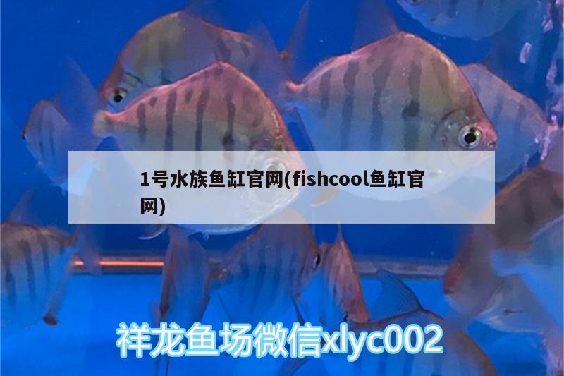 1号水族鱼缸官网(fishcool鱼缸官网)