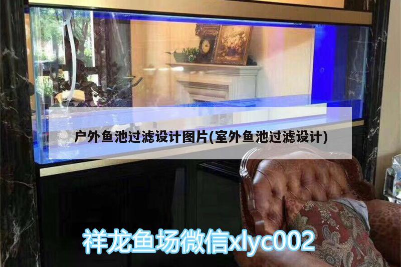 户外鱼池过滤设计图片(室外鱼池过滤设计)