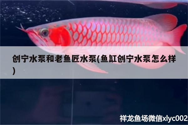 创宁水泵和老鱼匠水泵(鱼缸创宁水泵怎么样)