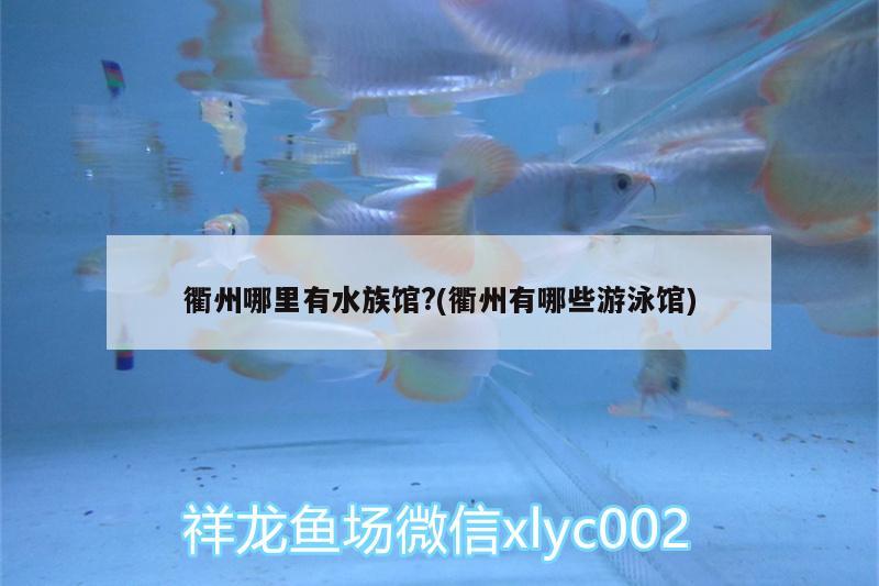 衢州哪里有水族馆?(衢州有哪些游泳馆) 蓝底过背金龙鱼