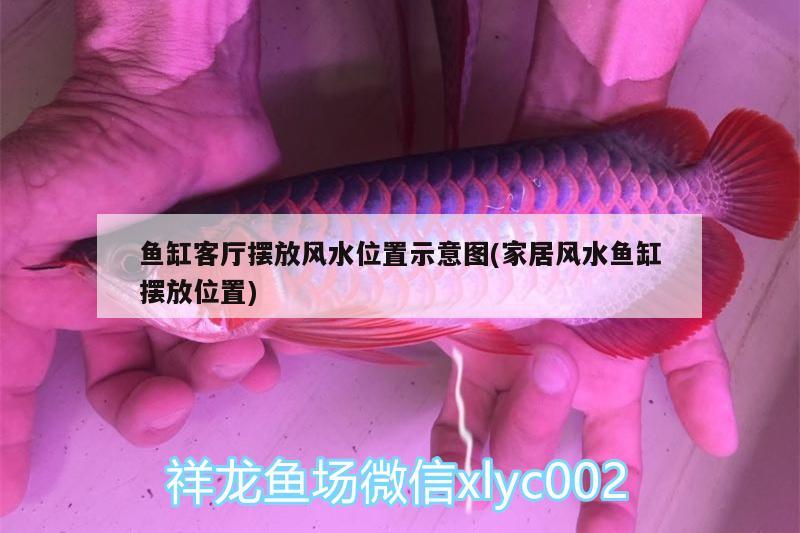 鱼缸客厅摆放风水位置示意图(家居风水鱼缸摆放位置)