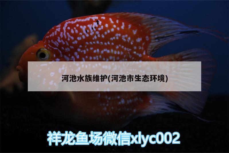 河池水族维护(河池市生态环境)