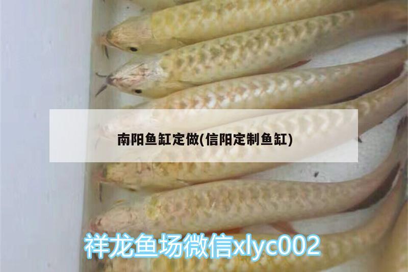 南阳鱼缸定做(信阳定制鱼缸)