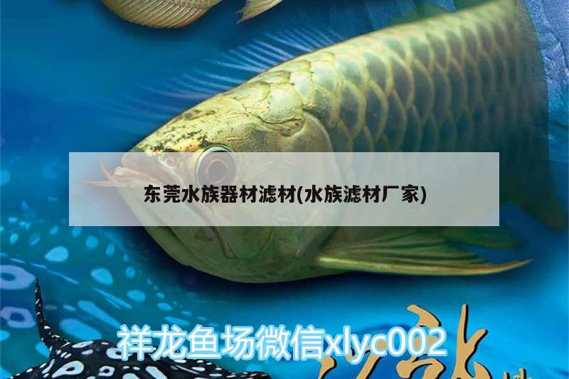 东莞水族器材滤材(水族滤材厂家) 熊猫异形鱼L46