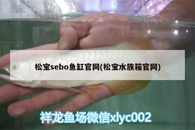 松宝sebo鱼缸官网(松宝水族箱官网) 鱼缸/水族箱