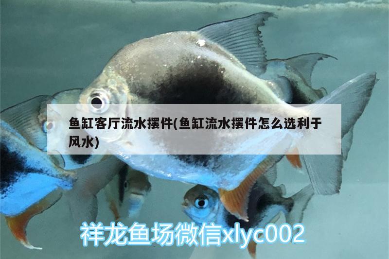 鱼缸客厅流水摆件(鱼缸流水摆件怎么选利于风水)