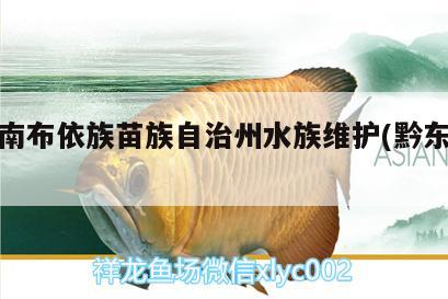 黔西南布依族苗族自治州水族维护(黔东南水族) 观赏鱼饲料