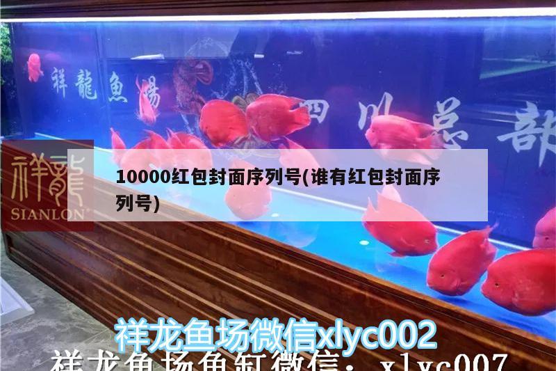 10000红包封面序列号(谁有红包封面序列号) 广州观赏鱼鱼苗批发市场