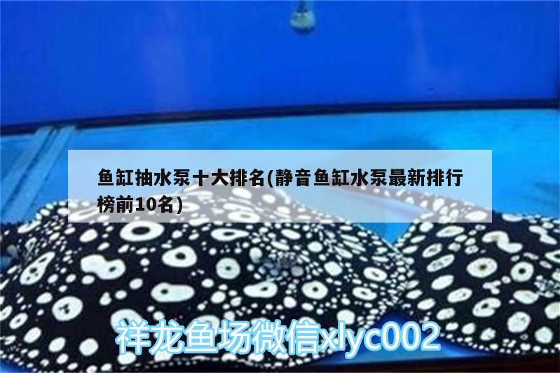 鱼缸抽水泵十大排名(静音鱼缸水泵最新排行榜前10名) 鱼缸水泵