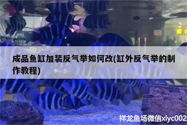 成品鱼缸加装反气举如何改(缸外反气举的制作教程)