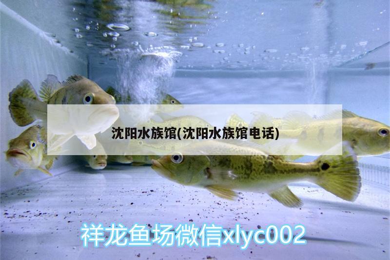 沈阳水族馆(沈阳水族馆电话) 过滤设备