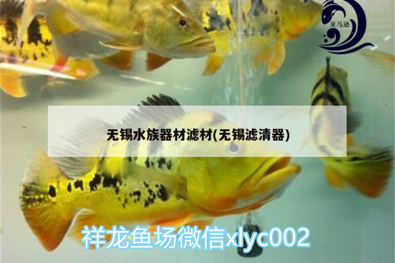 无锡水族器材滤材(无锡滤清器) 细线银板鱼苗