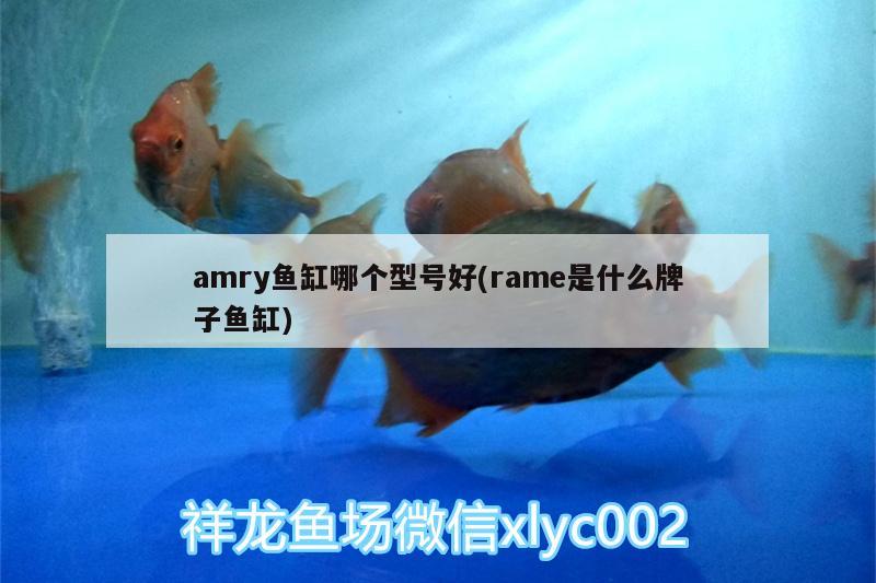 amry鱼缸哪个型号好(rame是什么牌子鱼缸) 三间鼠鱼 第2张