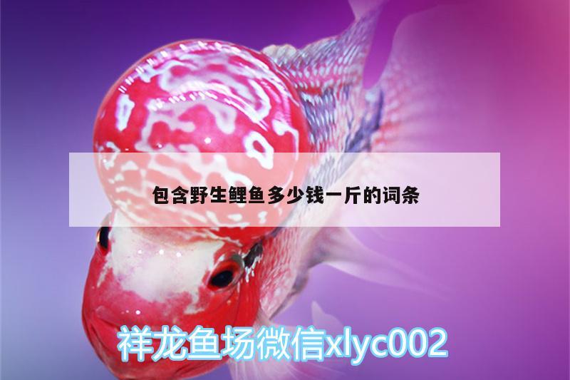 包含野生鲤鱼多少钱一斤的词条 广州龙鱼批发市场