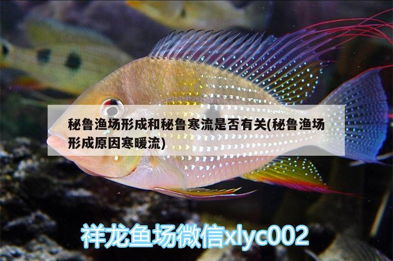 秘鲁渔场形成和秘鲁寒流是否有关(秘鲁渔场形成原因寒暖流) 纯血皇冠黑白魟鱼 第3张