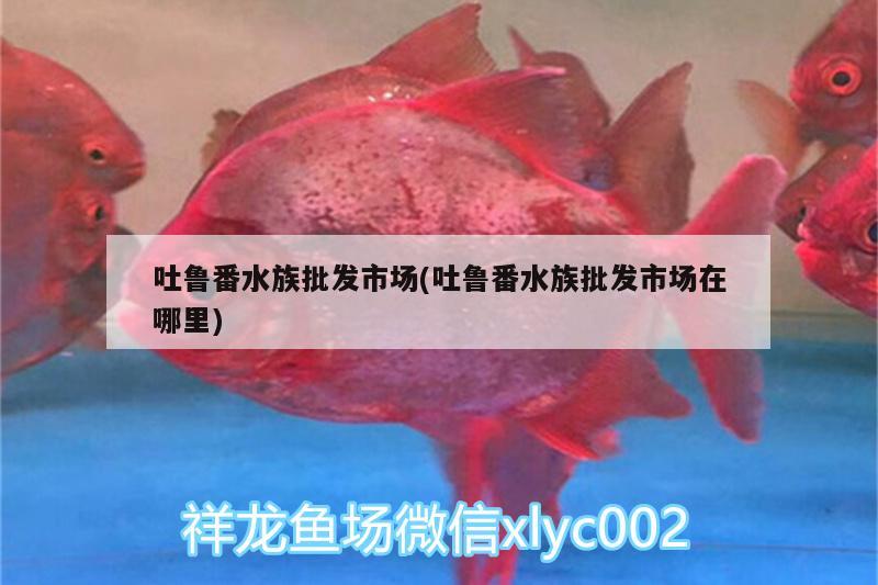 吐鲁番水族批发市场(吐鲁番水族批发市场在哪里)