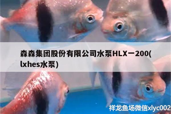 森森集团股份有限公司水泵HLX一200(lxhes水泵) 水族用品