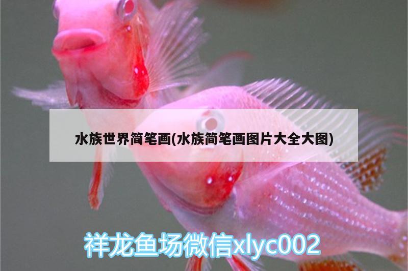 水族世界简笔画(水族简笔画图片大全大图)