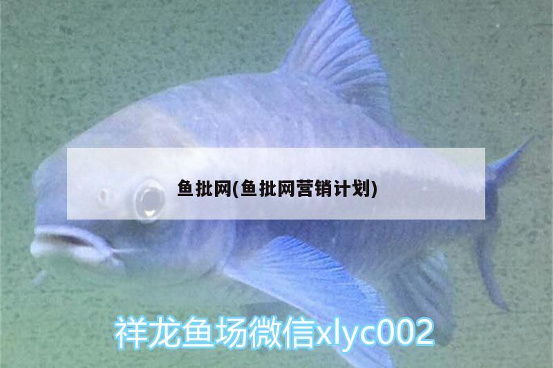 鱼批网(鱼批网营销计划) 观赏虾蟹等饲料