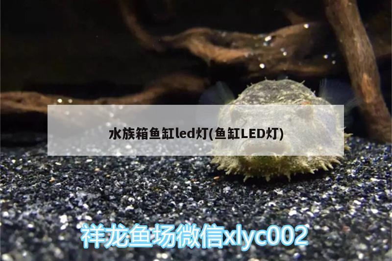 水族箱鱼缸led灯(鱼缸LED灯) 鱼缸/水族箱