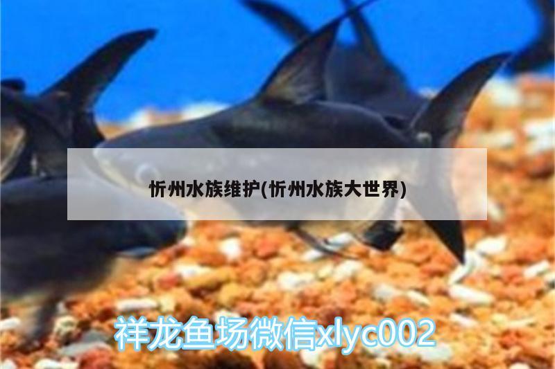 忻州水族维护(忻州水族大世界) PH调节剂