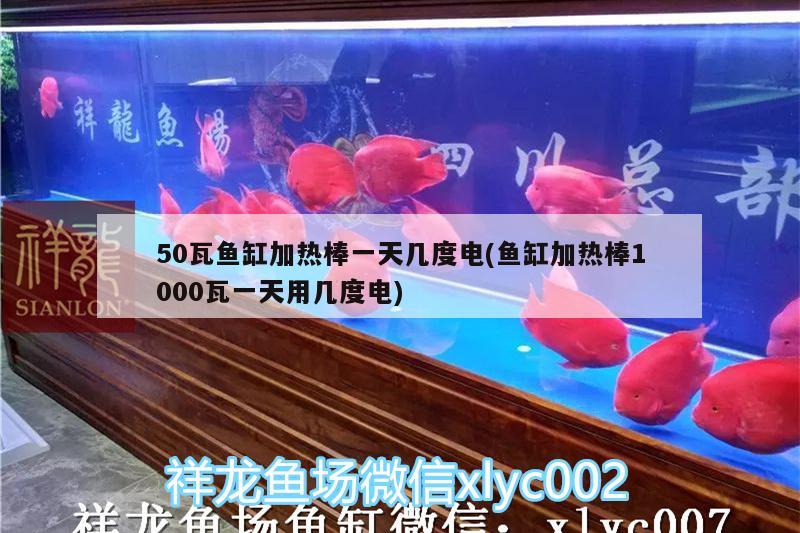 50瓦鱼缸加热棒一天几度电(鱼缸加热棒1000瓦一天用几度电) 泰国雪鲫鱼