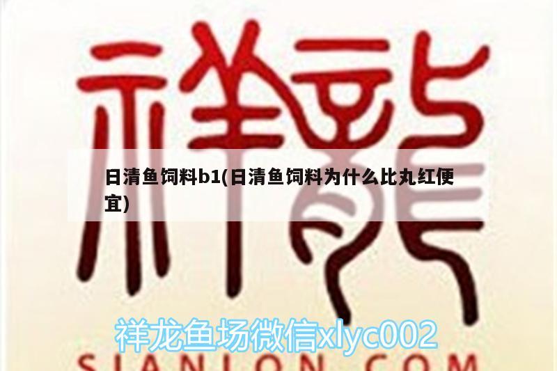 日清鱼饲料b1(日清鱼饲料为什么比丸红便宜) 祥龙龙鱼专用水族灯 第2张