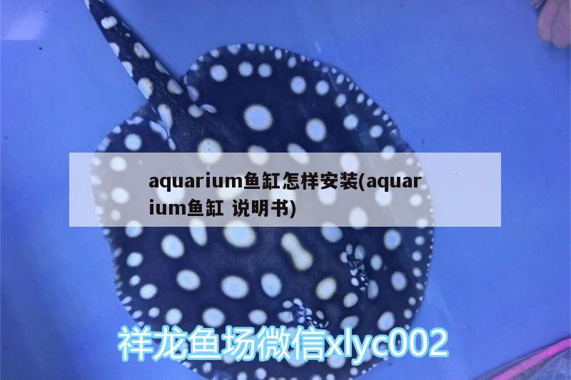aquarium鱼缸怎样安装(aquarium鱼缸说明书)