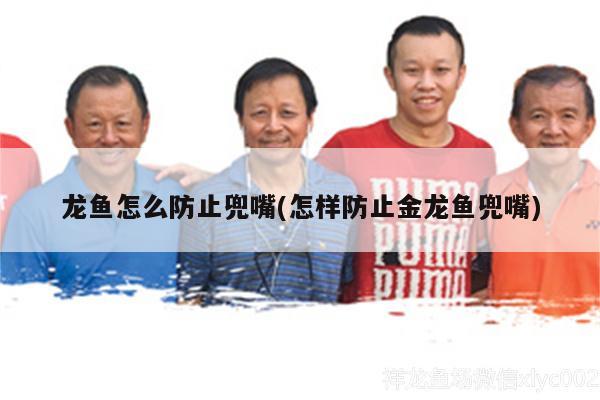 龙鱼怎么防止兜嘴(怎样防止金龙鱼兜嘴) 其他益生菌