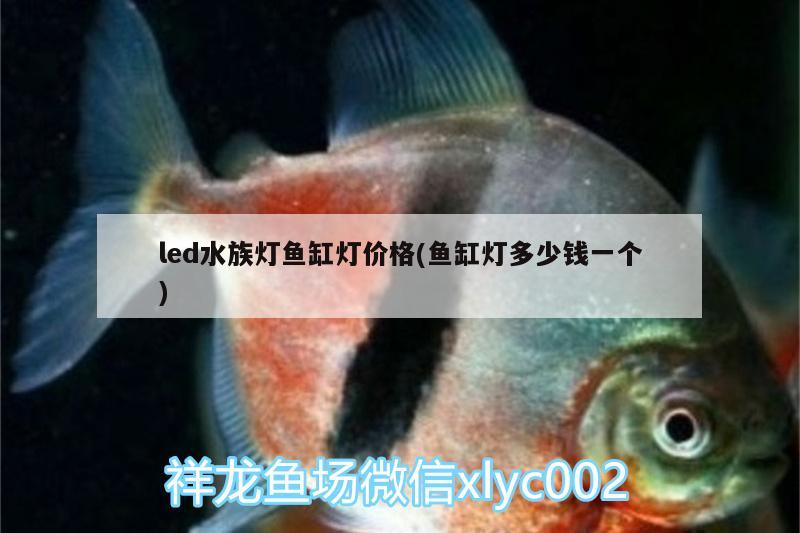 led水族灯鱼缸灯价格(鱼缸灯多少钱一个)