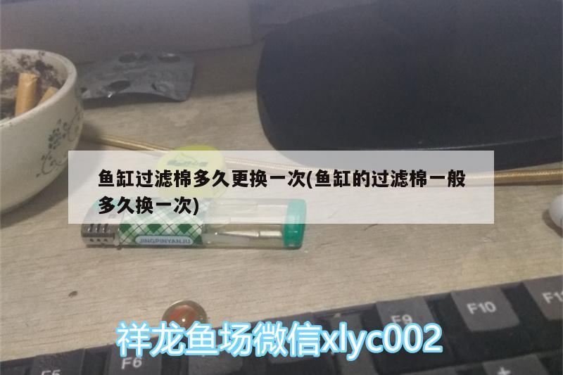 鱼缸过滤棉多久更换一次(鱼缸的过滤棉一般多久换一次) 斑马鸭嘴鱼苗