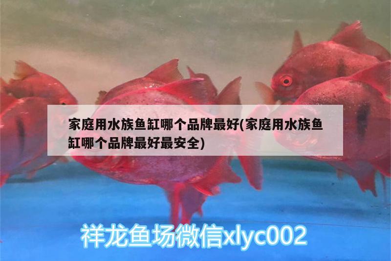 家庭用水族鱼缸哪个品牌最好(家庭用水族鱼缸哪个品牌最好最安全) 南美异型鱼