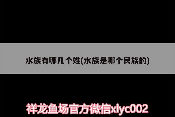 水族有哪几个姓(水族是哪个民族的) 大日玉鲭鱼