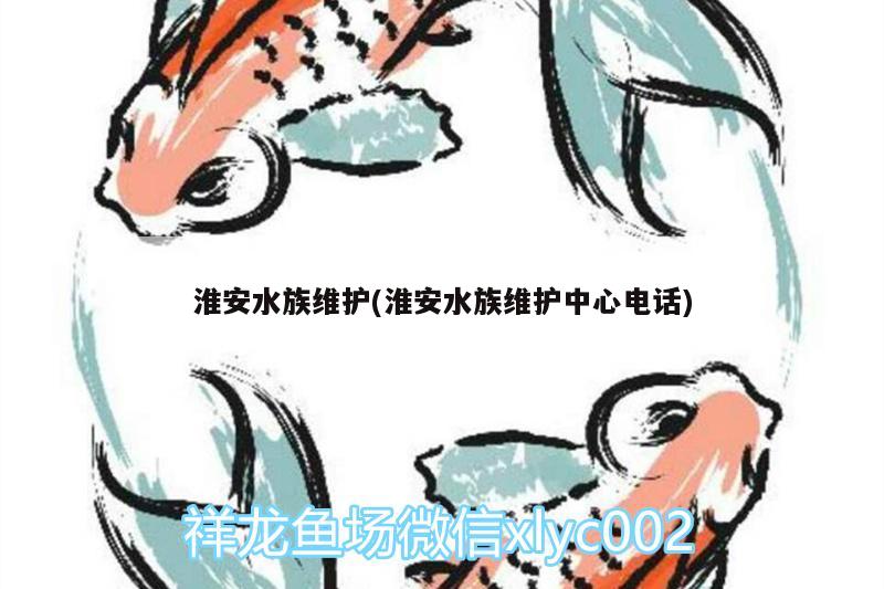 淮安水族维护(淮安水族维护中心电话) 和尚鱼