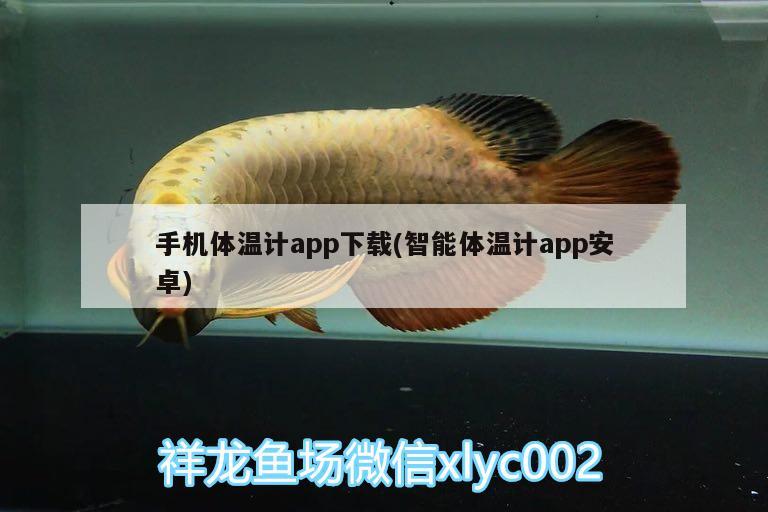 手机体温计app下载(智能体温计app安卓)