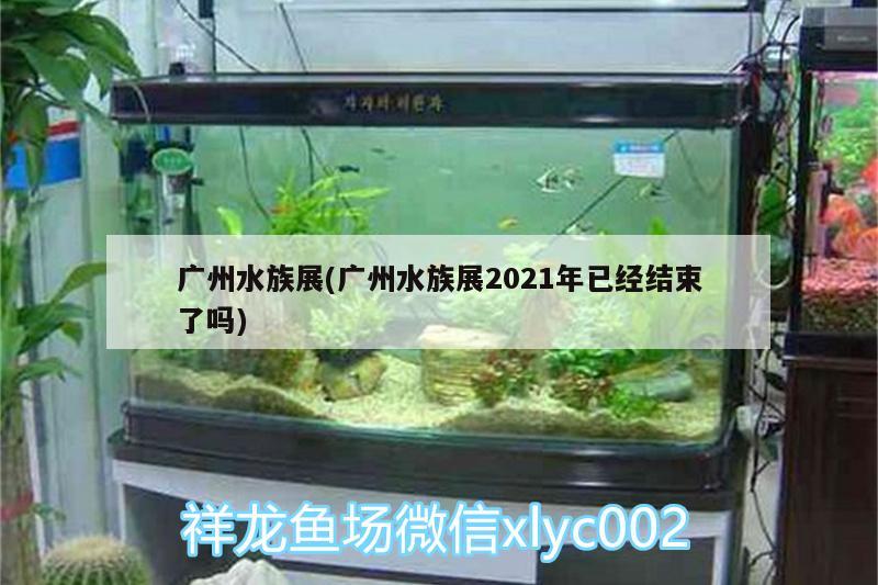 广州水族展(广州水族展2021年已经结束了吗) 水族展会