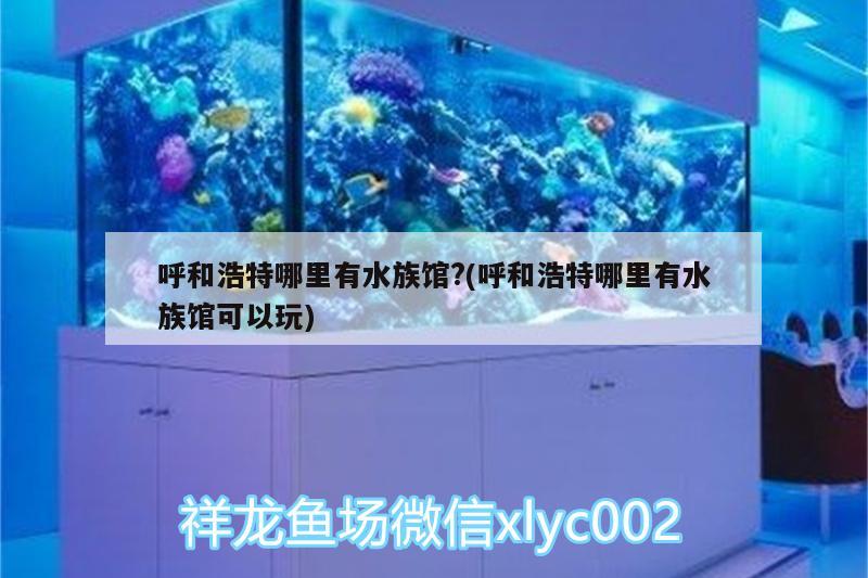 呼和浩特哪里有水族馆?(呼和浩特哪里有水族馆可以玩) 虎鱼鱼苗