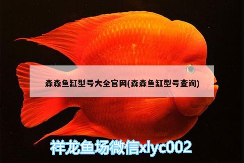 森森鱼缸型号大全官网(森森鱼缸型号查询) 金三间鱼