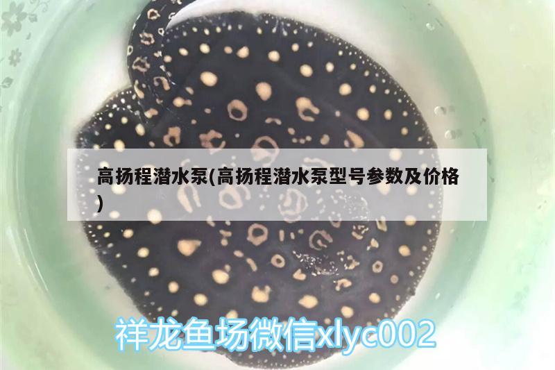 高扬程潜水泵(高扬程潜水泵型号参数及价格)