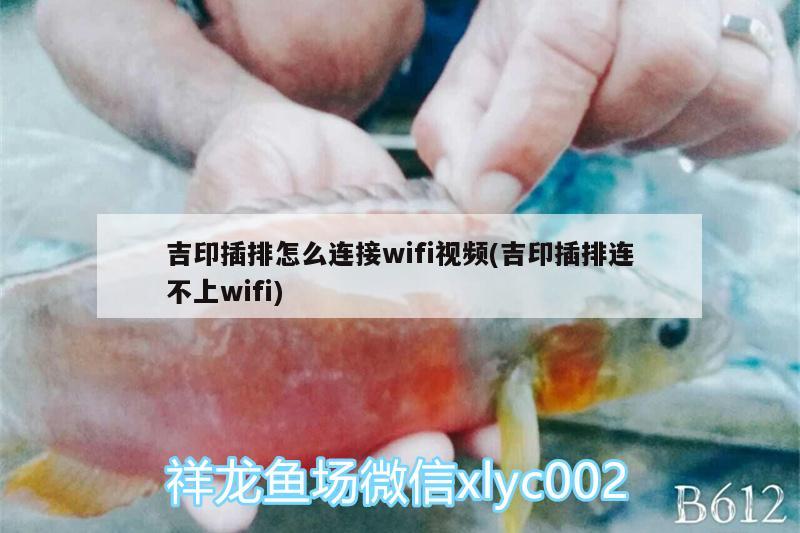 吉印插排怎么连接wifi视频(吉印插排连不上wifi)